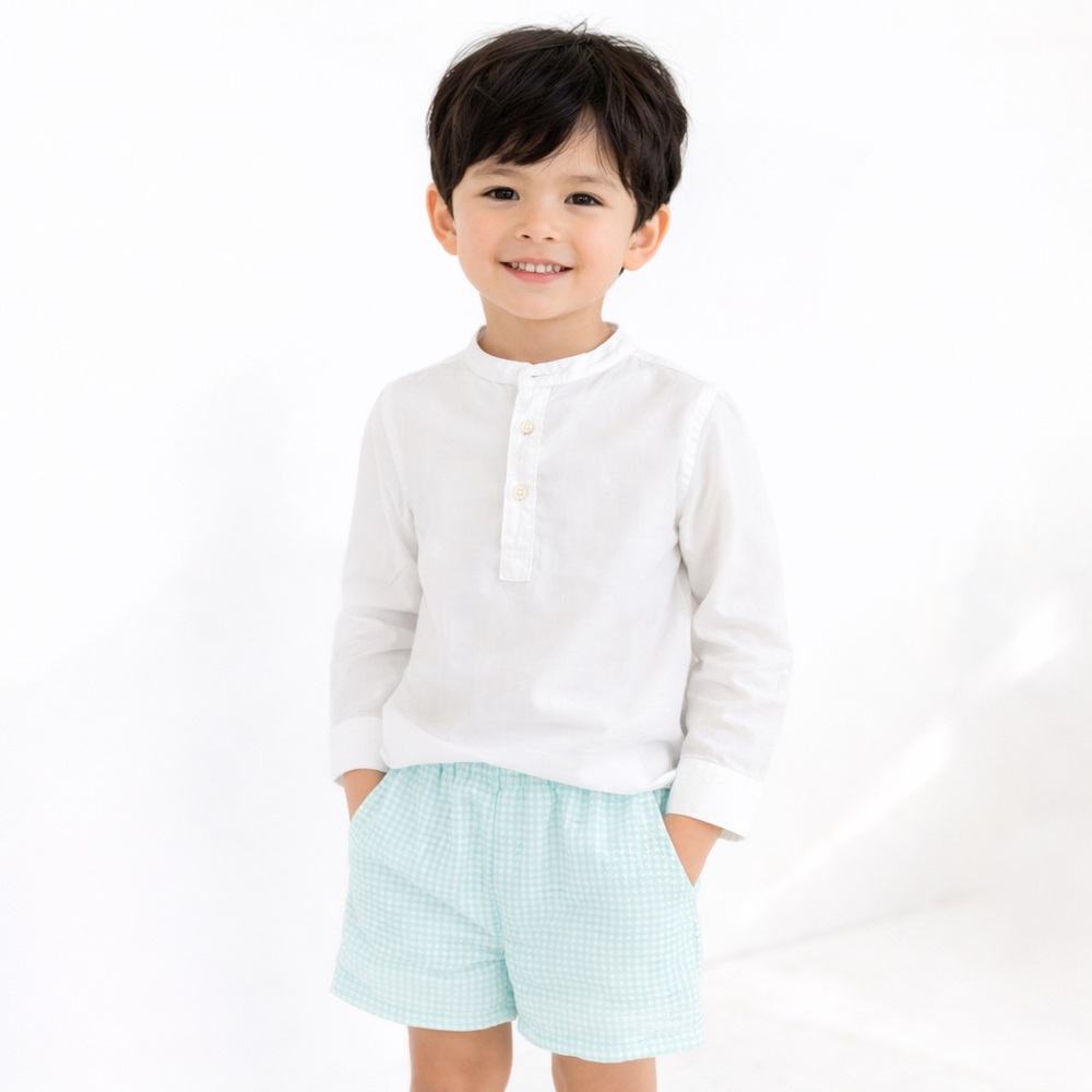 Edgehill Collection NWT Boys Cotton Shirt & Shorts Set Blue White 4T